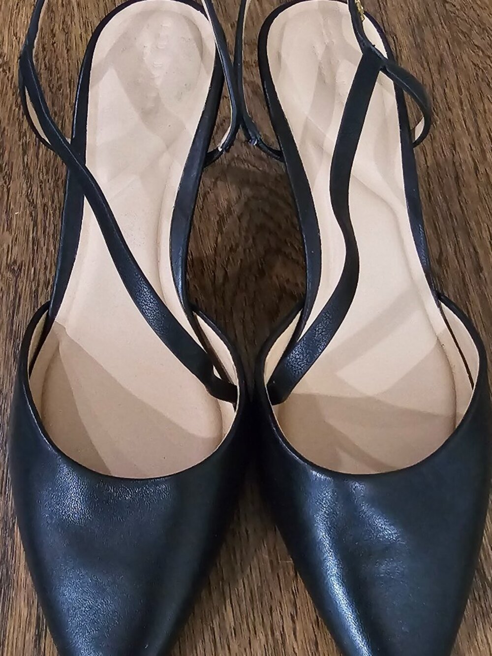 Ted Baker